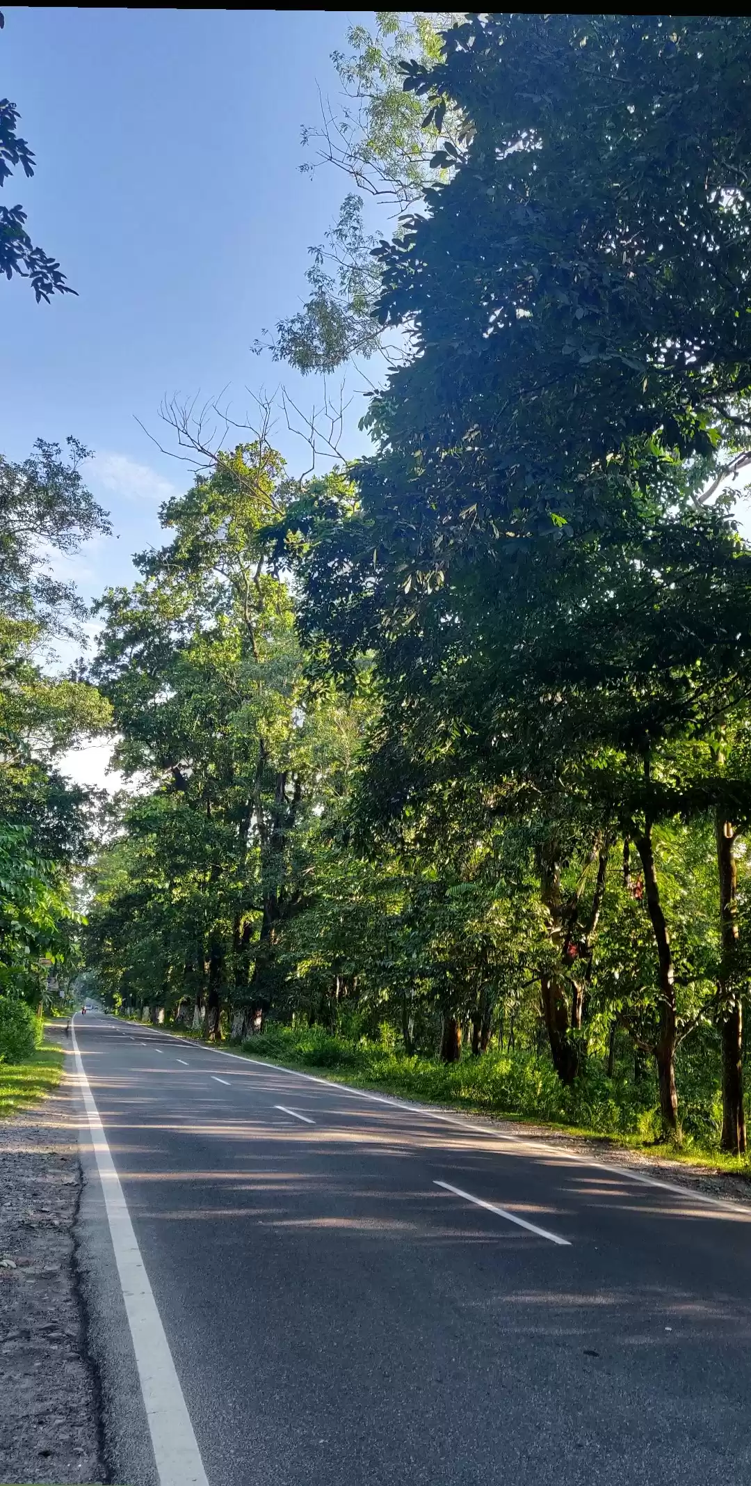 Photo of 6 Day Road-Trip in B