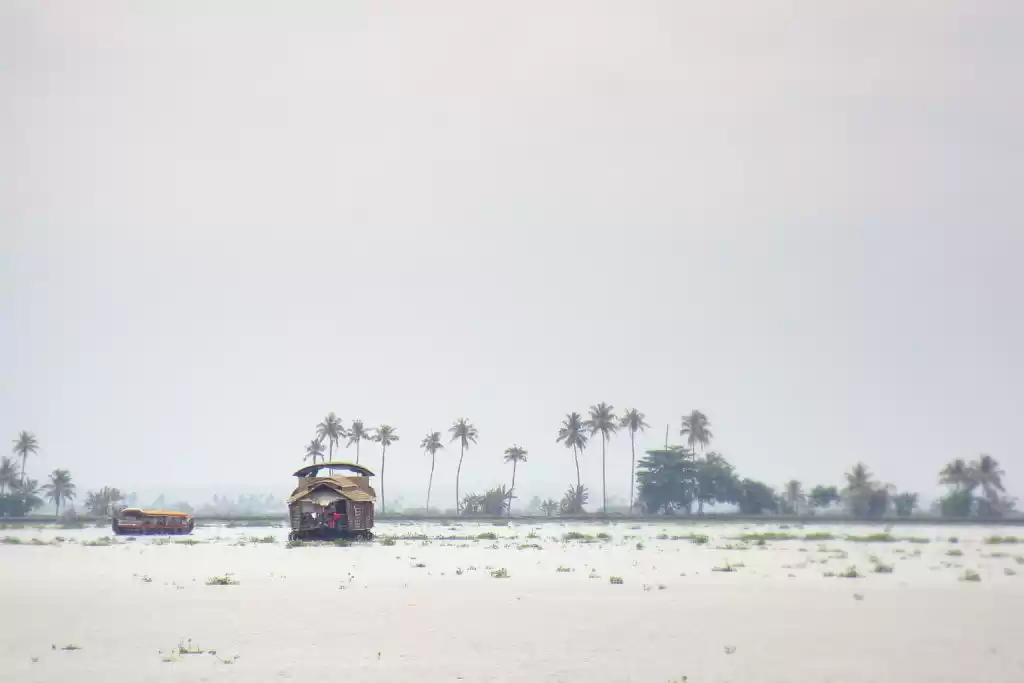 Photo of BACKWATERS OF ALLEPP