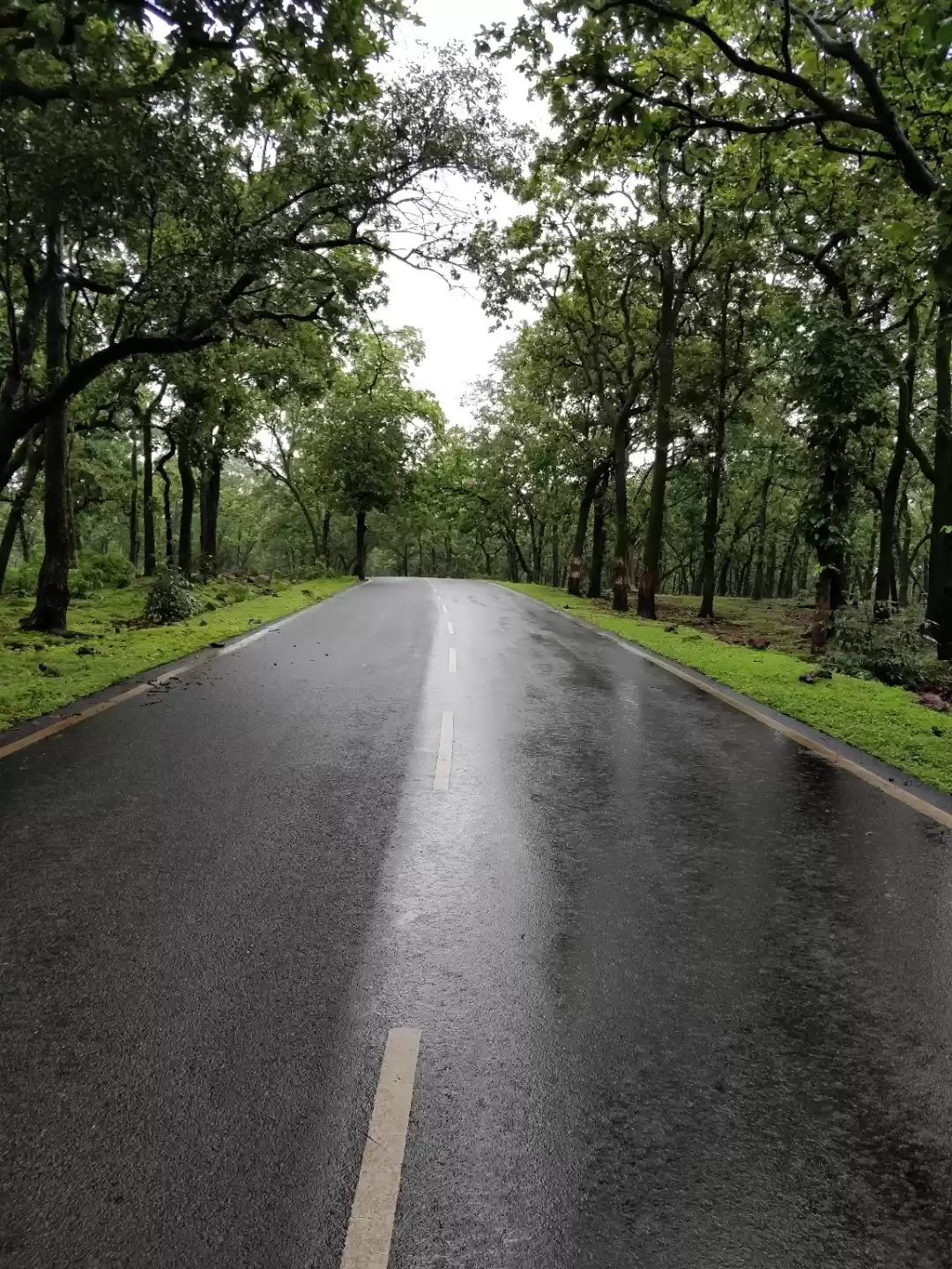 Photo of The Forgotten Archit