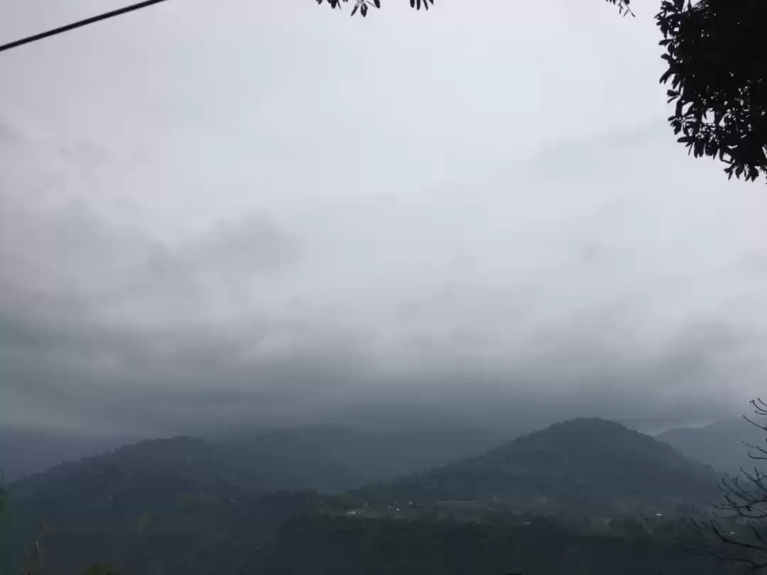 Photo of Wanderlust Chronicle