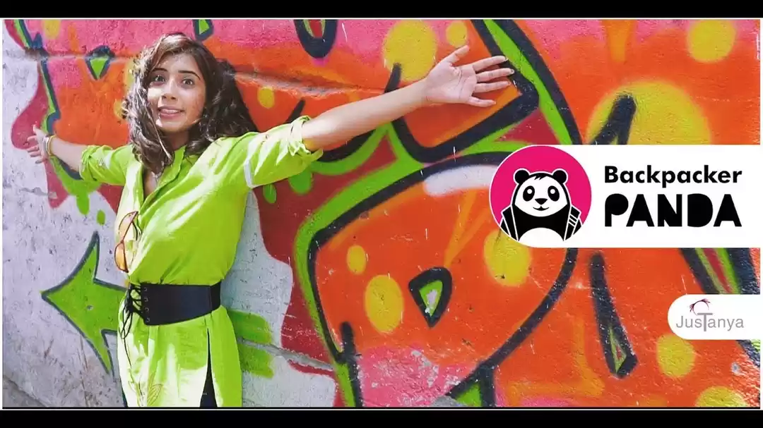 Photo of Backpacker Panda - L