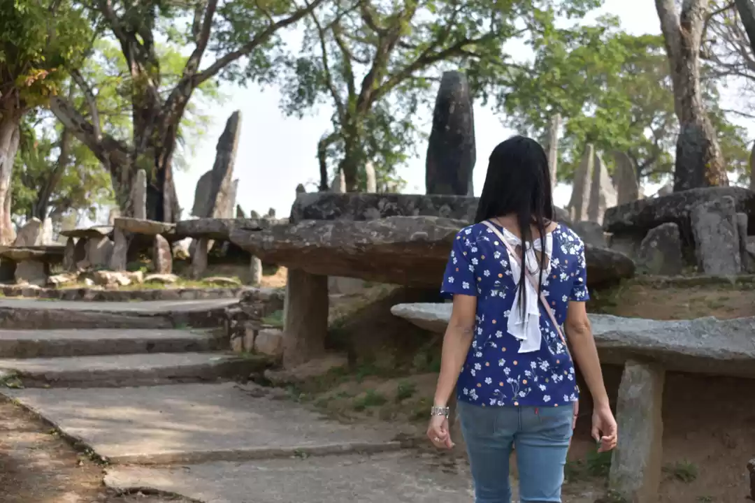 Photo of True gem of India, o