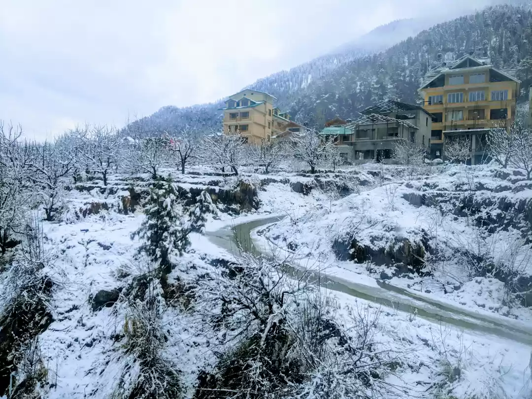 Photo of Manali - My Life's m