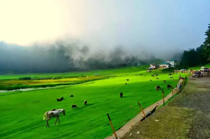 Photo of Khajjiar:- "Mini Swi