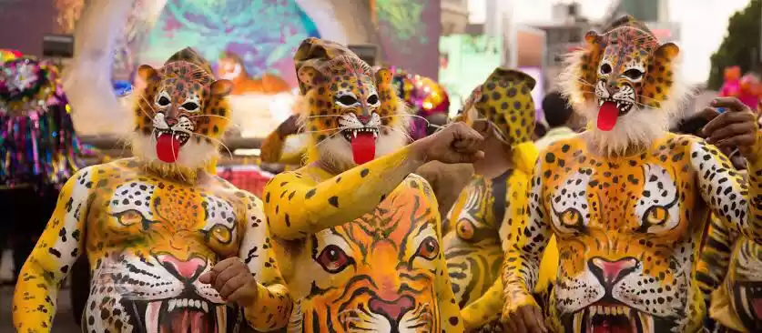 Photo of Pulikali- A Tiger D