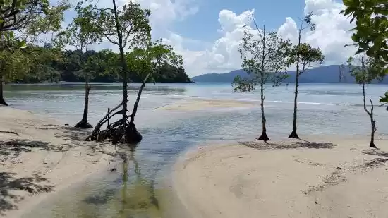 Photo of Chidiya Tapu: Best S