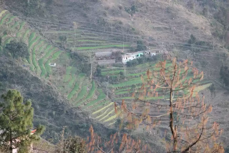 Photo of Holi In Nahaan(Himac