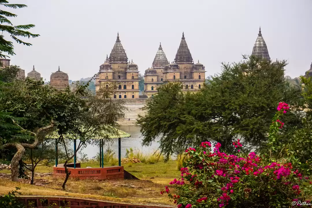 Photo of ORCHHA – THE KINGDOM
