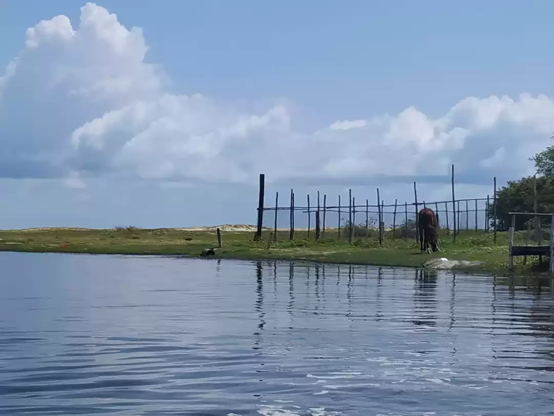 Photo of Serene Pondicherry