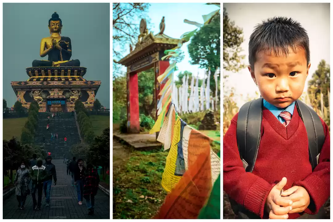 Photo of While Everybody Trav