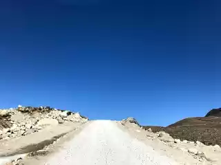 Photo of Trotting into The Ta
