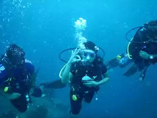 Photo of The World Deep Down 