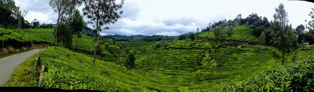 Photo of Best of 'Kaptivating