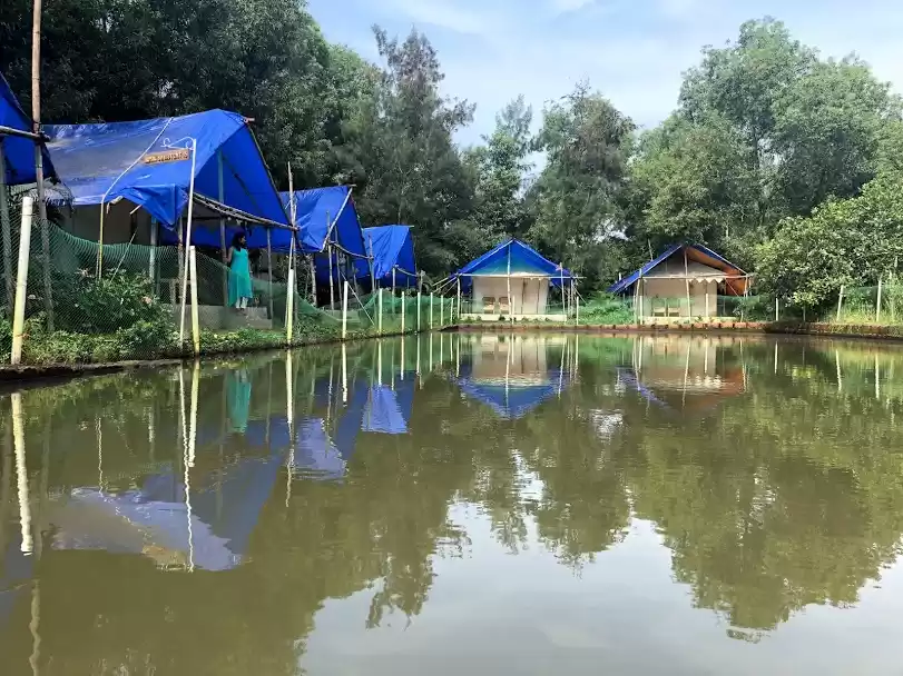 Photo of Zip-lining? Zorbing?