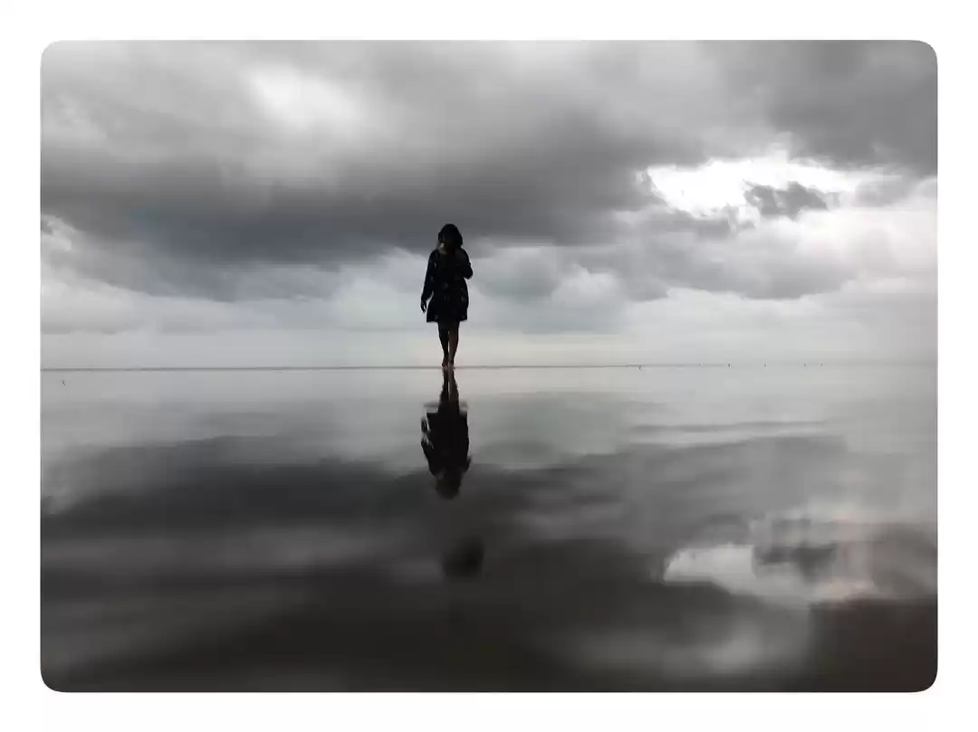 Photo of All that you need to