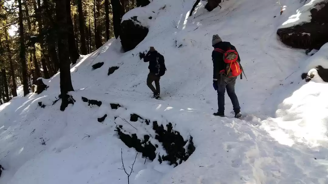 Photo of Churdhar_Amateur_Sno