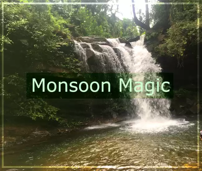 Photo of Best Homestay to vis