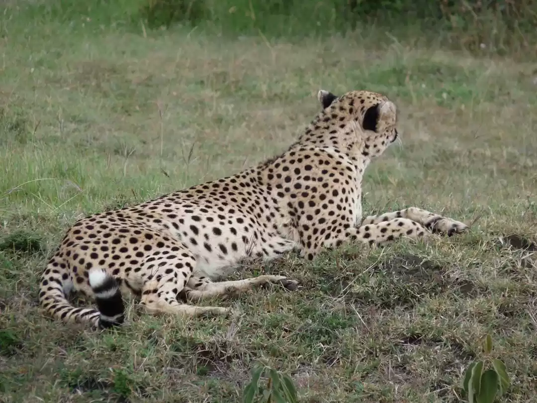 Photo of Places to Explore Ea