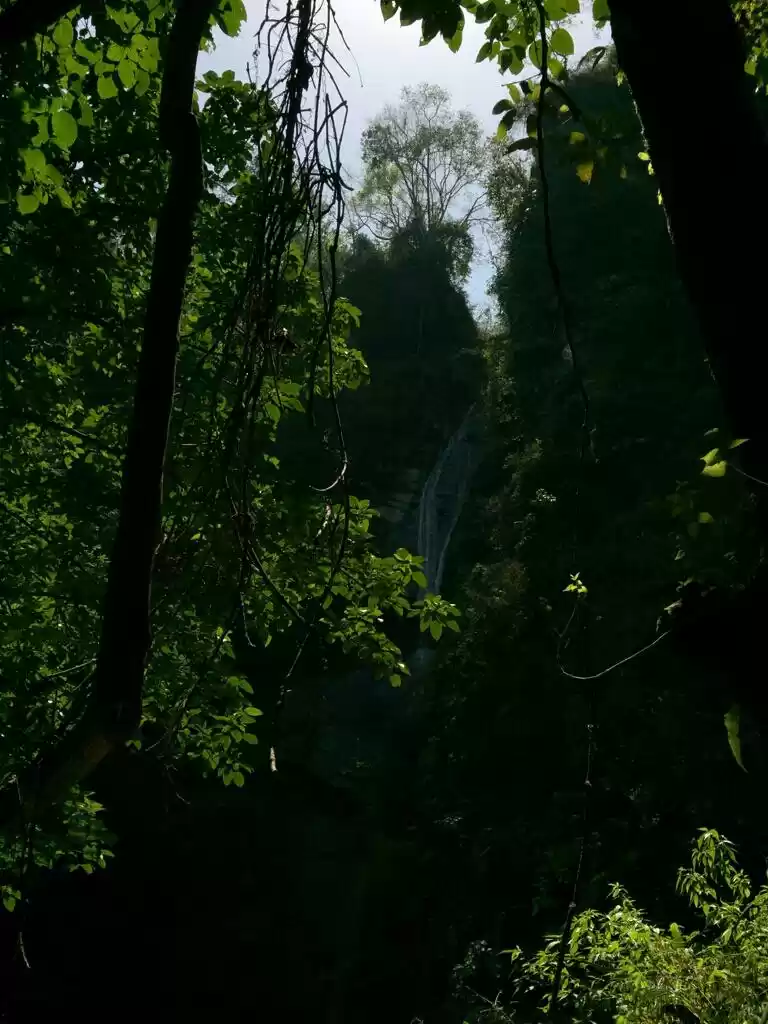 Photo of Knee knocking trail