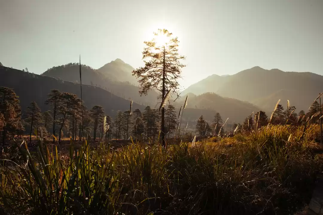 Photo of Here's How the Sunri