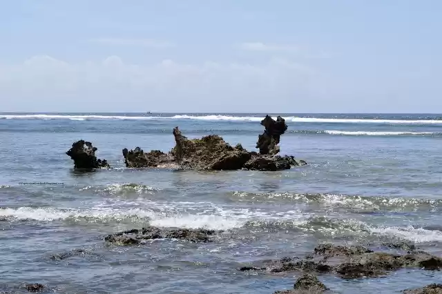Photo of The must see's of Nu