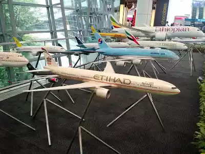 Photo of A guide to plan your