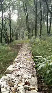 Photo of Nature's retreat - K