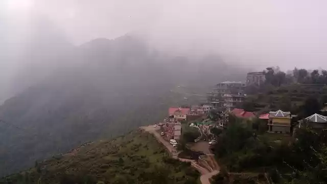 Photo of Mesmerizing McLeodga