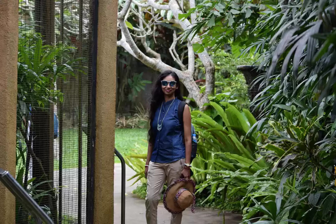 Photo of The art to save, tra