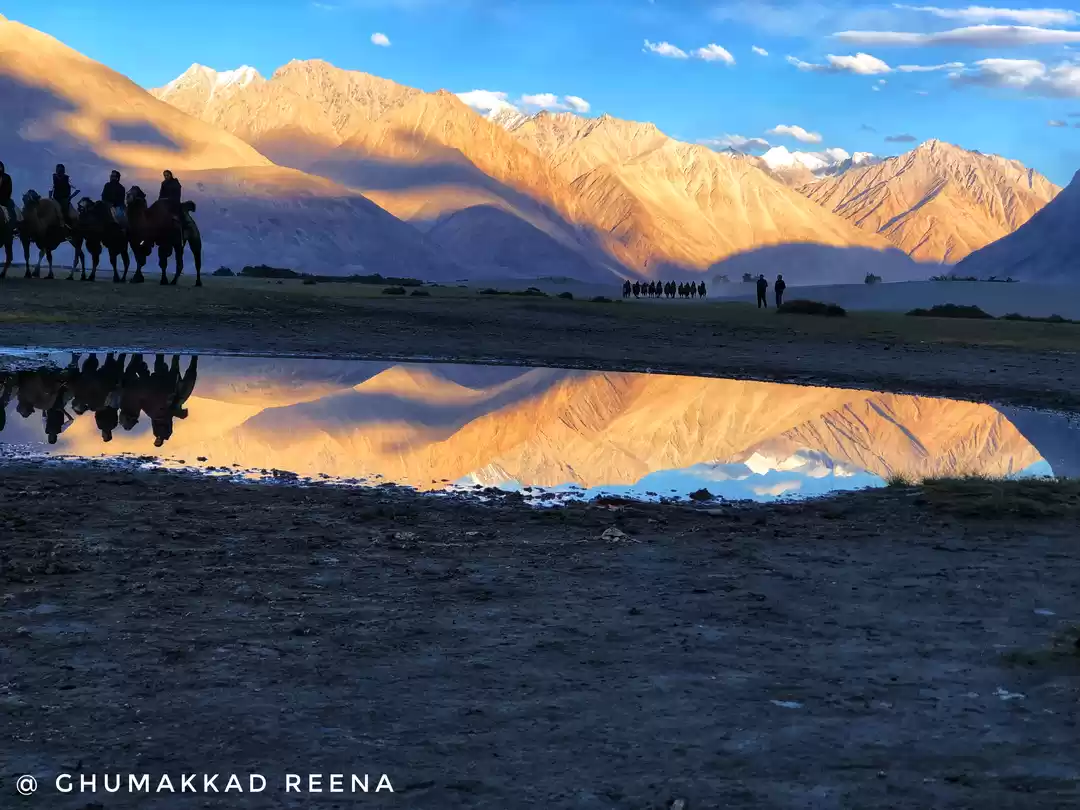 Photo of Sanddunes Nubra Vall