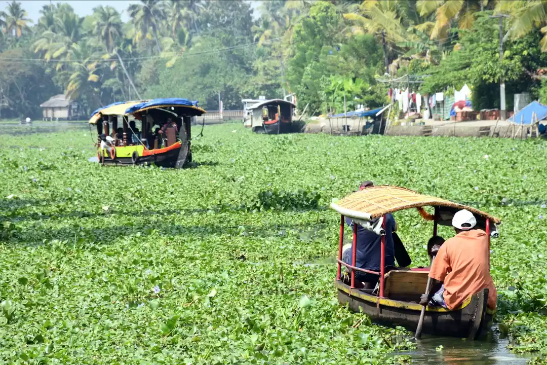 Photo of Alleppey - life on B