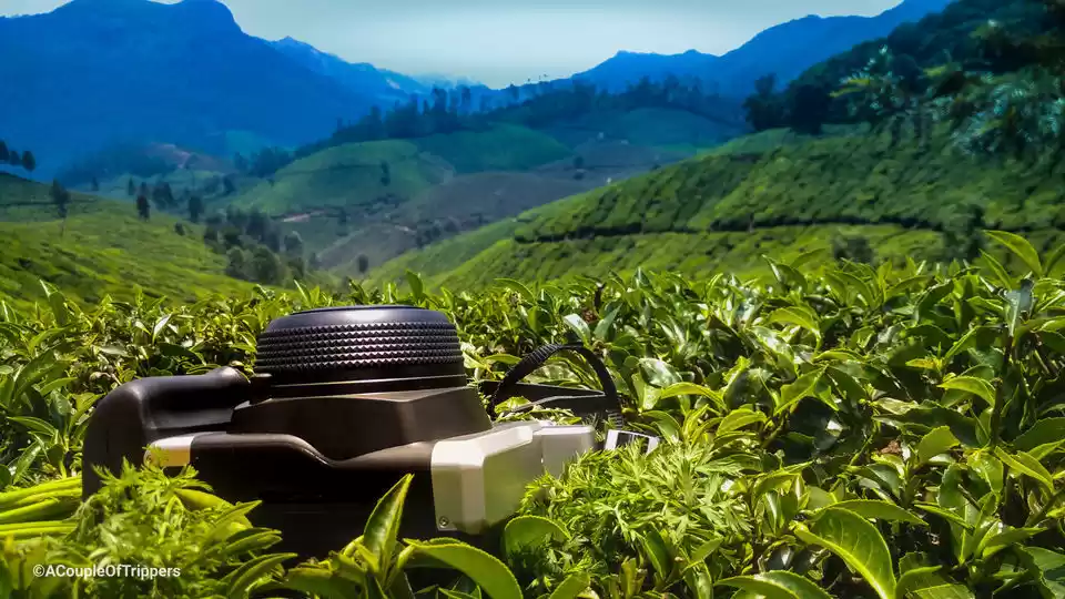 Photo of Want to avoid the we