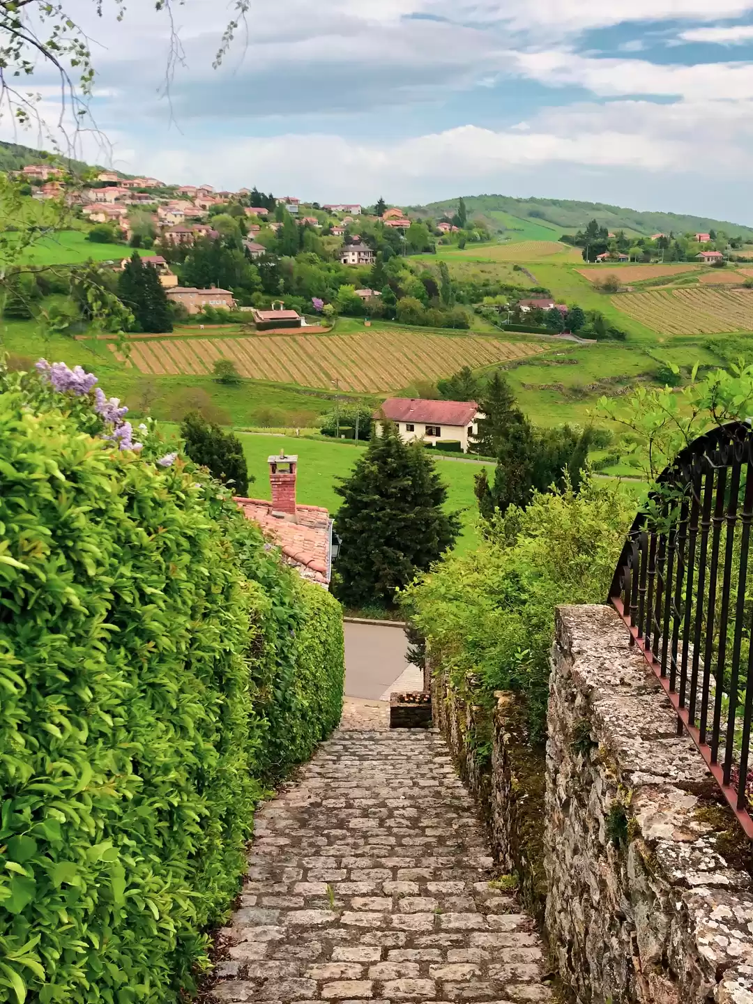 Photo of Discovering a little