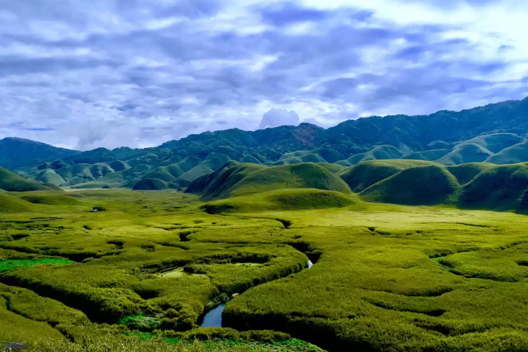 Photo of Dzukou Valley (A fri