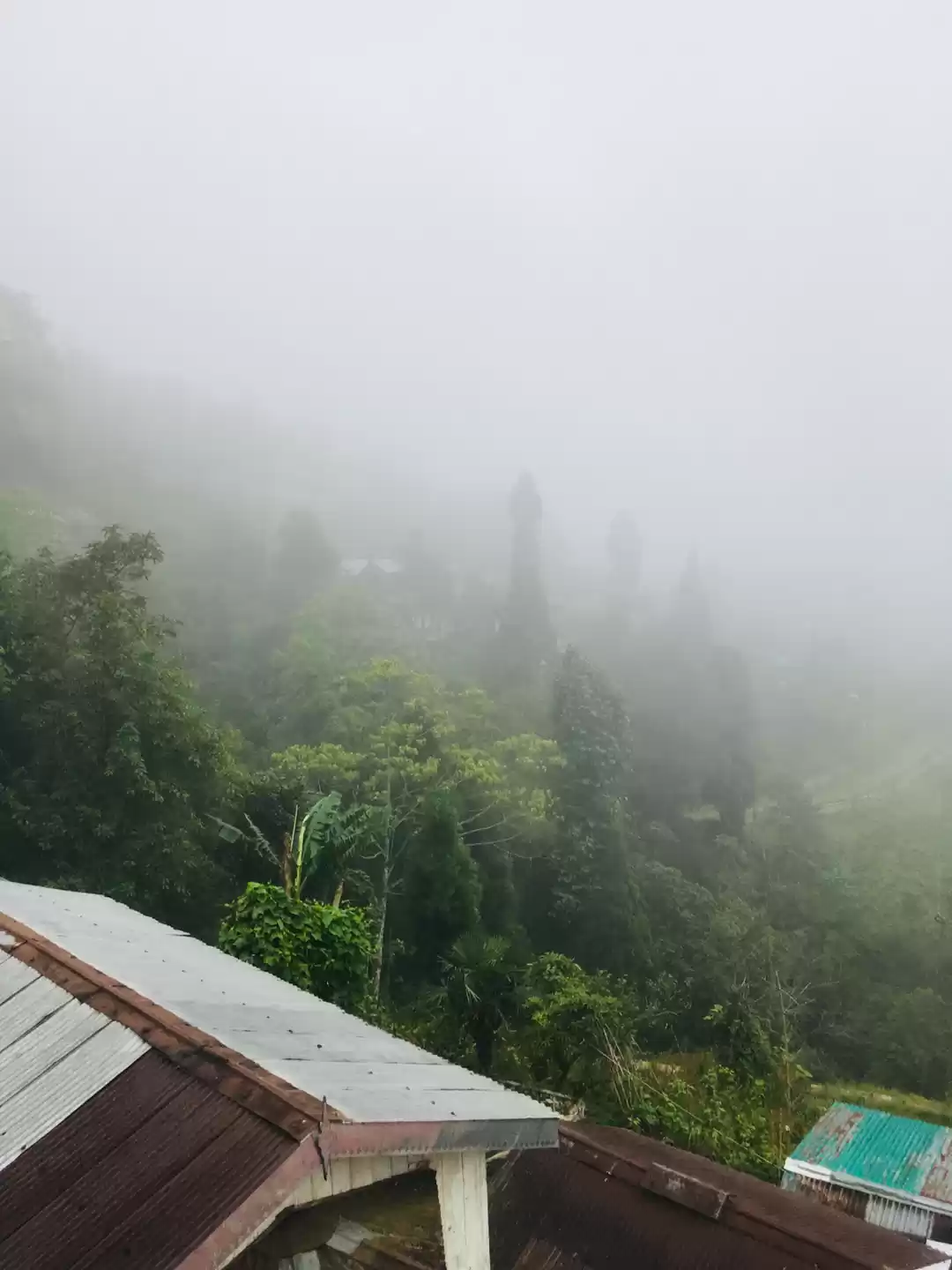 Photo of Rangaroon- Untouched