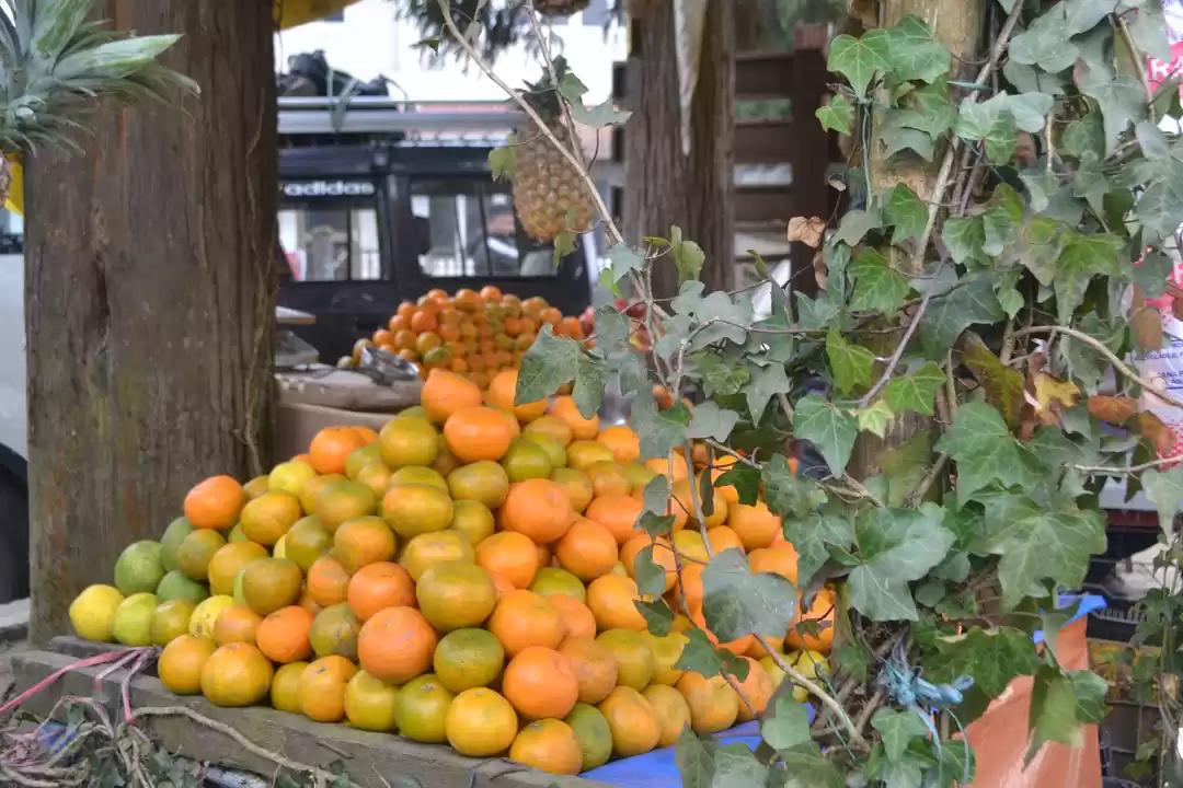 Photo of Orange Orchards & Qu