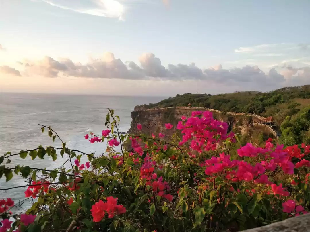 Photo of Eat Travel Dive in B