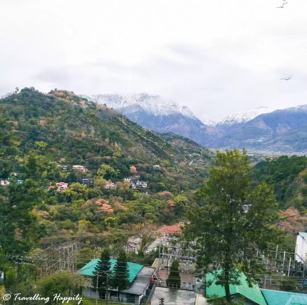 Photo of Photoblog - Beautifu