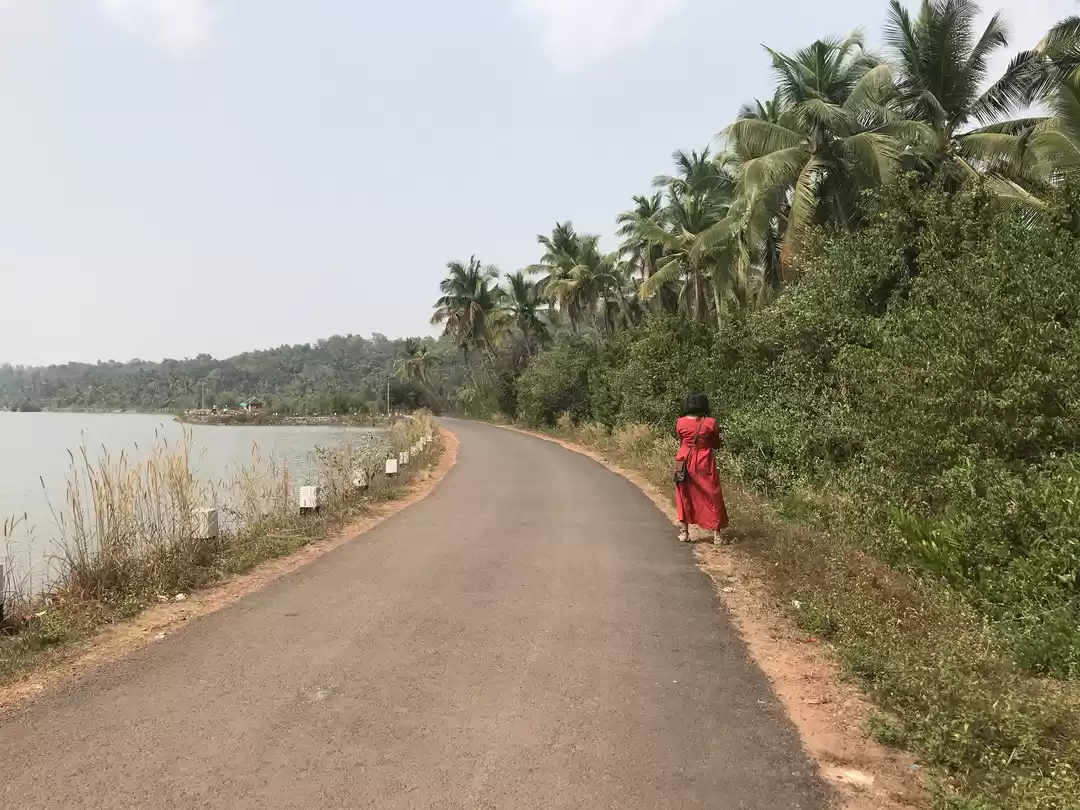 Photo of Nature & I in God’s 