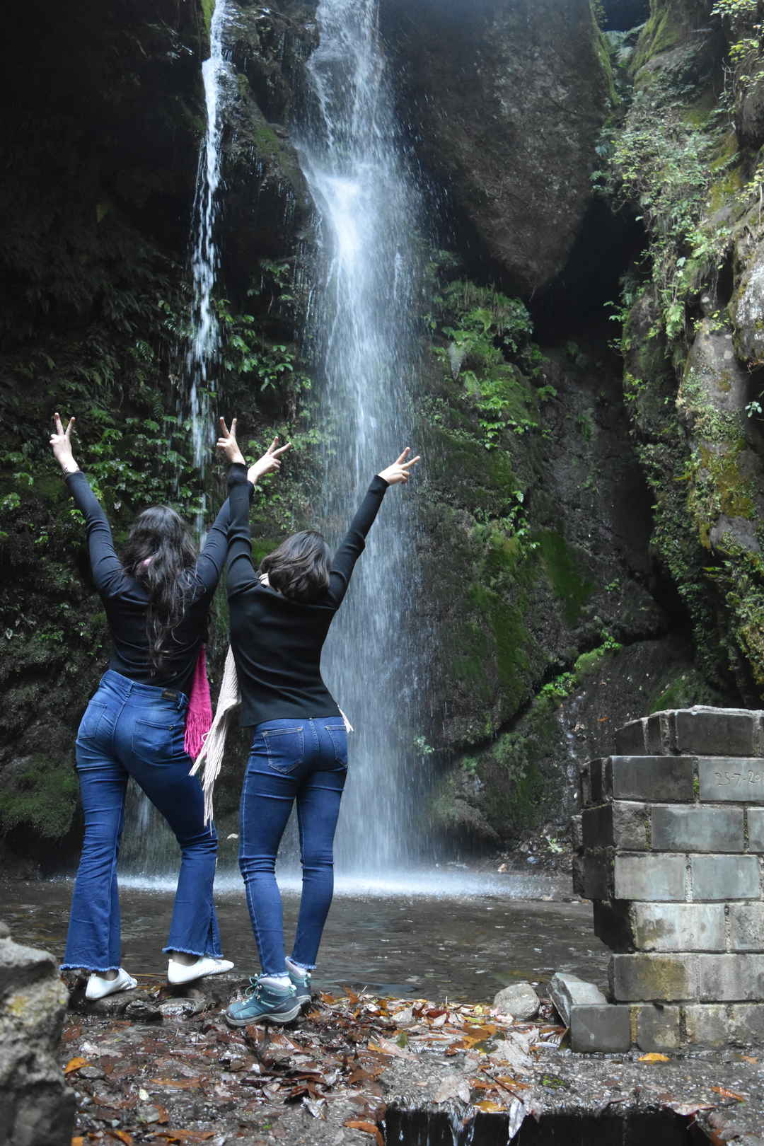 wallpapers Jim Corbett National Park Images 6 things to do in jim corbett national