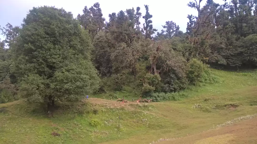 Photo of Deoria taal and Chan