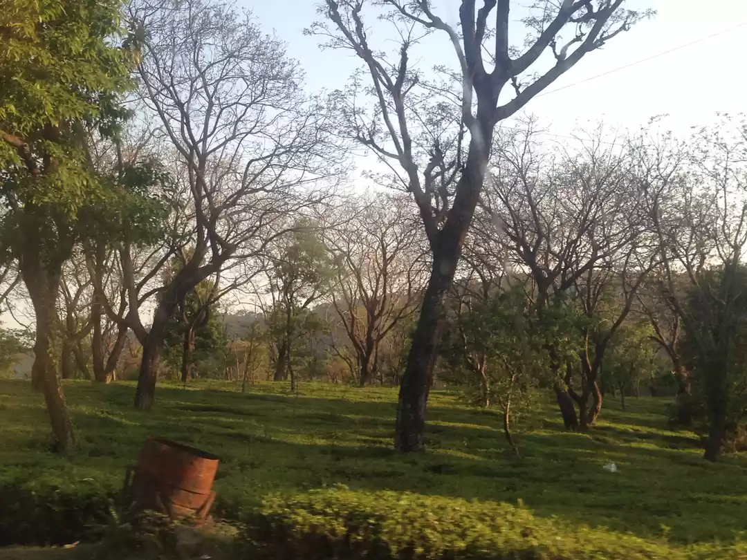 Photo of Palampur - Paradise 