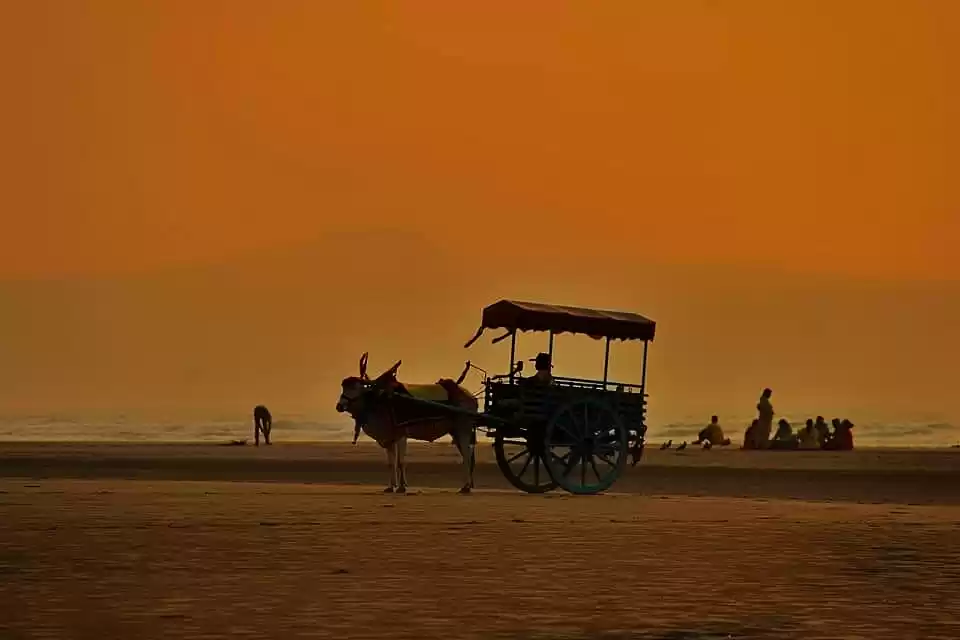 Photo of Beautiful sunset at 