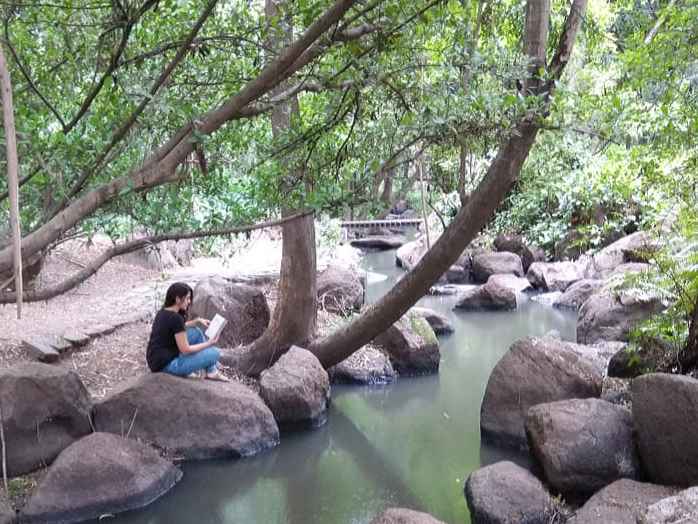 Download Koregaon Park Osho Ashram Pune Pics