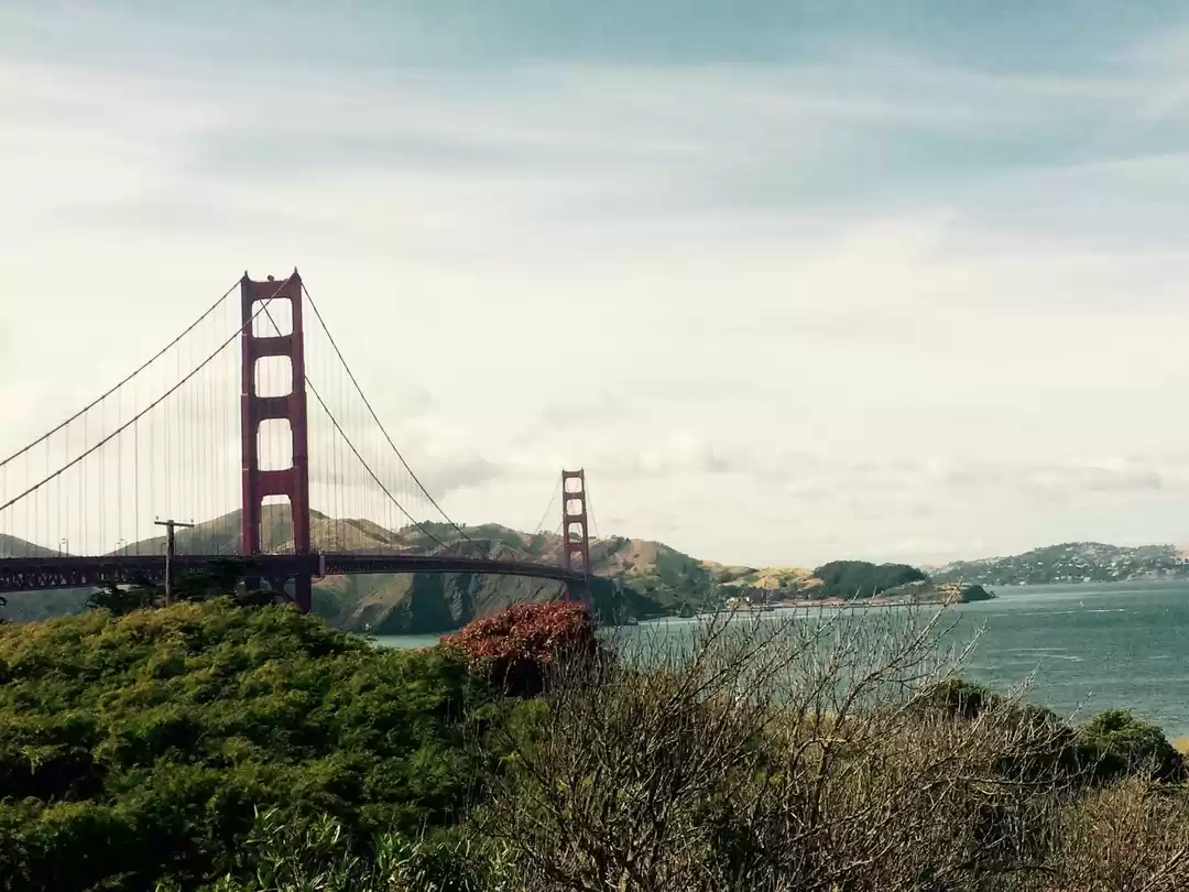 Photo of Summers In The West 