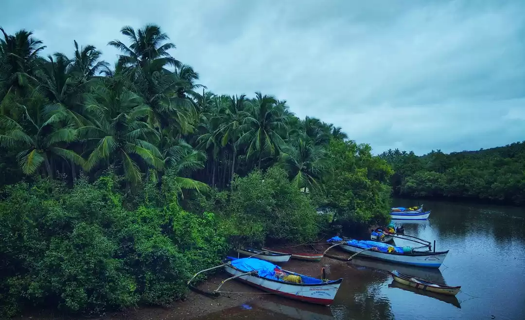 Photo of Goa is More than Bea