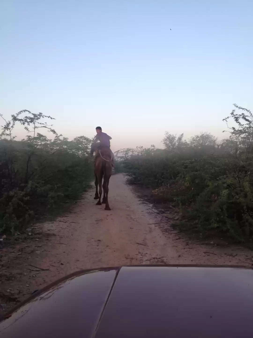 Photo of For Weekenders - Lak