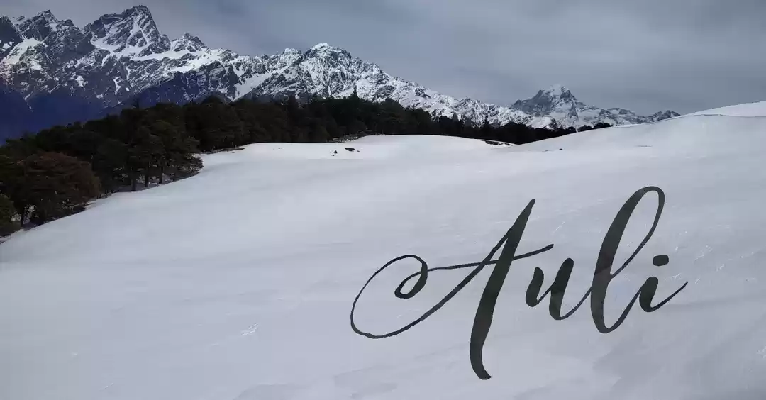 Photo of Trip to Auli(5D,4N)