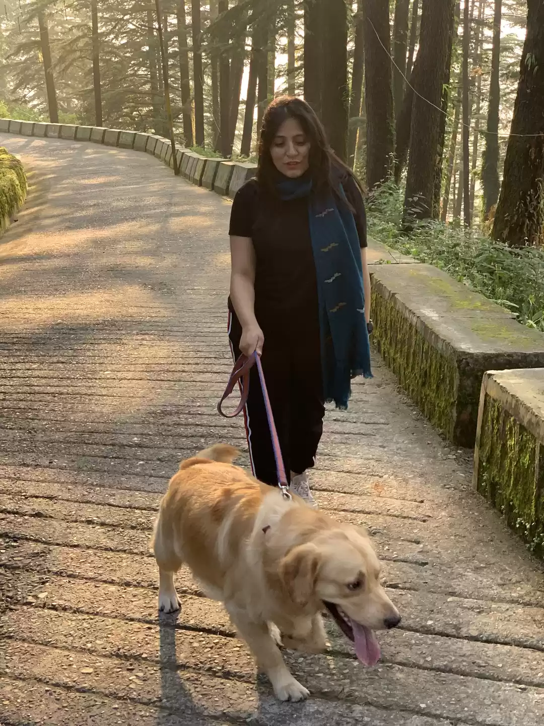 Photo of Roads to Mussoorie a