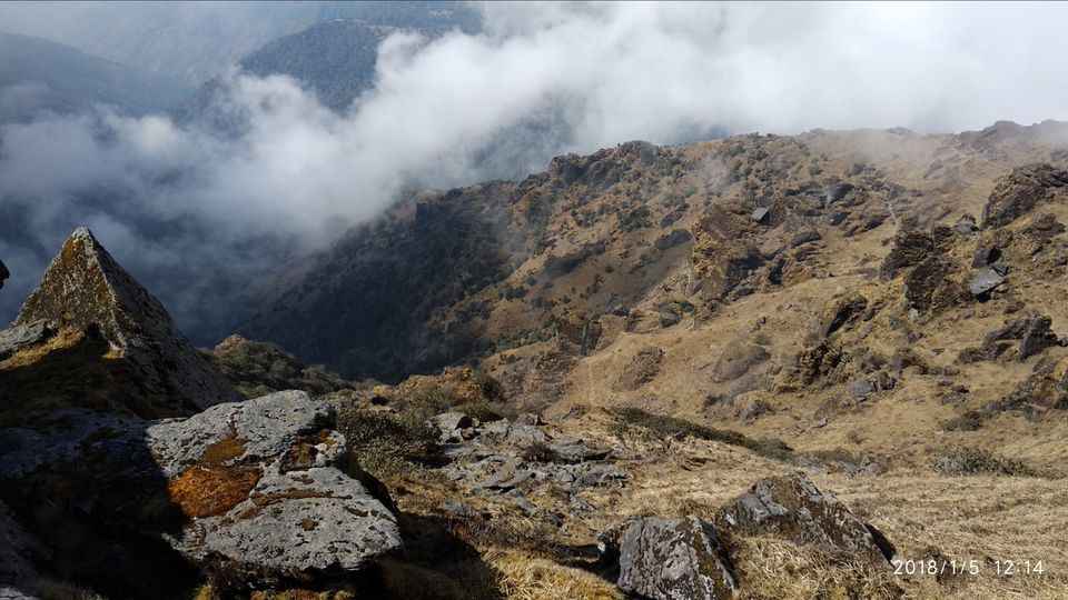 Photo of Sandakphu & Phalut Trip 'WEST BENGAL HIGHEST PEAK'
